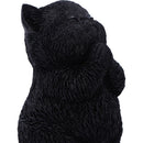 Whisker Wish Black Cat Figurine 8.5cm 6
