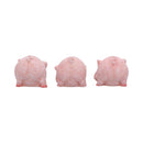 Three Wise Playful Pigs Figurine Set 8.4cm 3