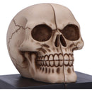 Final Chapter Bookends Skull 13.5cm 5