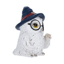 Archimedes Owl Figurine 8.5cm 3