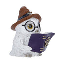 Cornelius Owl Figurine 8.6cm 3