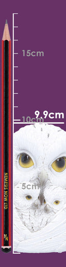 Feathered Nest Owl Figurine 10.7cm 8