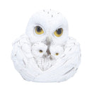 Feathered Nest Owl Figurine 10.7cm 1