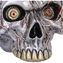 Cardiac Cranium Steampunk Silver Skull 17.5cm 5