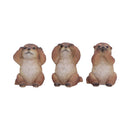 Three Wise Otters 1