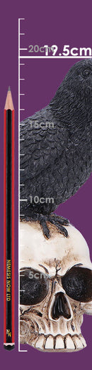 Nevermore Vigil Raven Standing on Skull Figurine 19.5cm 8