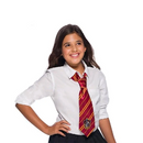 Gryffindor Adult Harry Potter Neck Tie