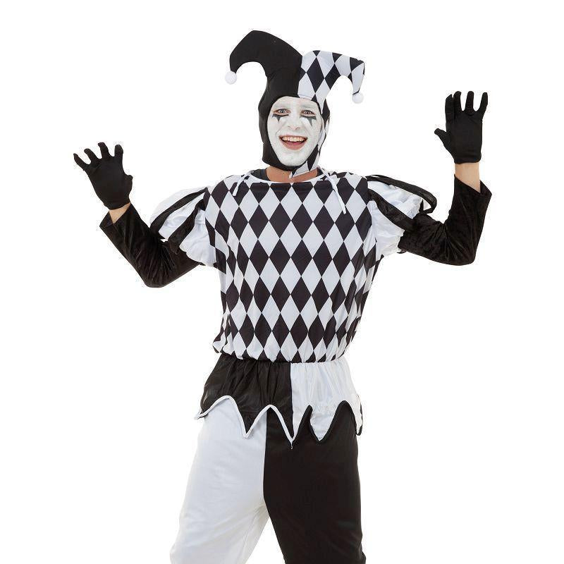 Mens Harlequin Male Adult Costume Male One Size Bristol Novelty Generic Mens Costumes 7979