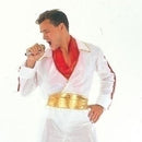 Mens Rock Star Plus Size Adult Costumes Male Chest Size 46" 50" Bristol Novelty Generic Mens Costumes 8361