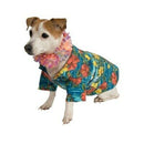 Luau Pet Costume